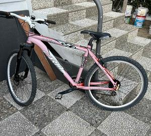 Mountain bike carnielli 