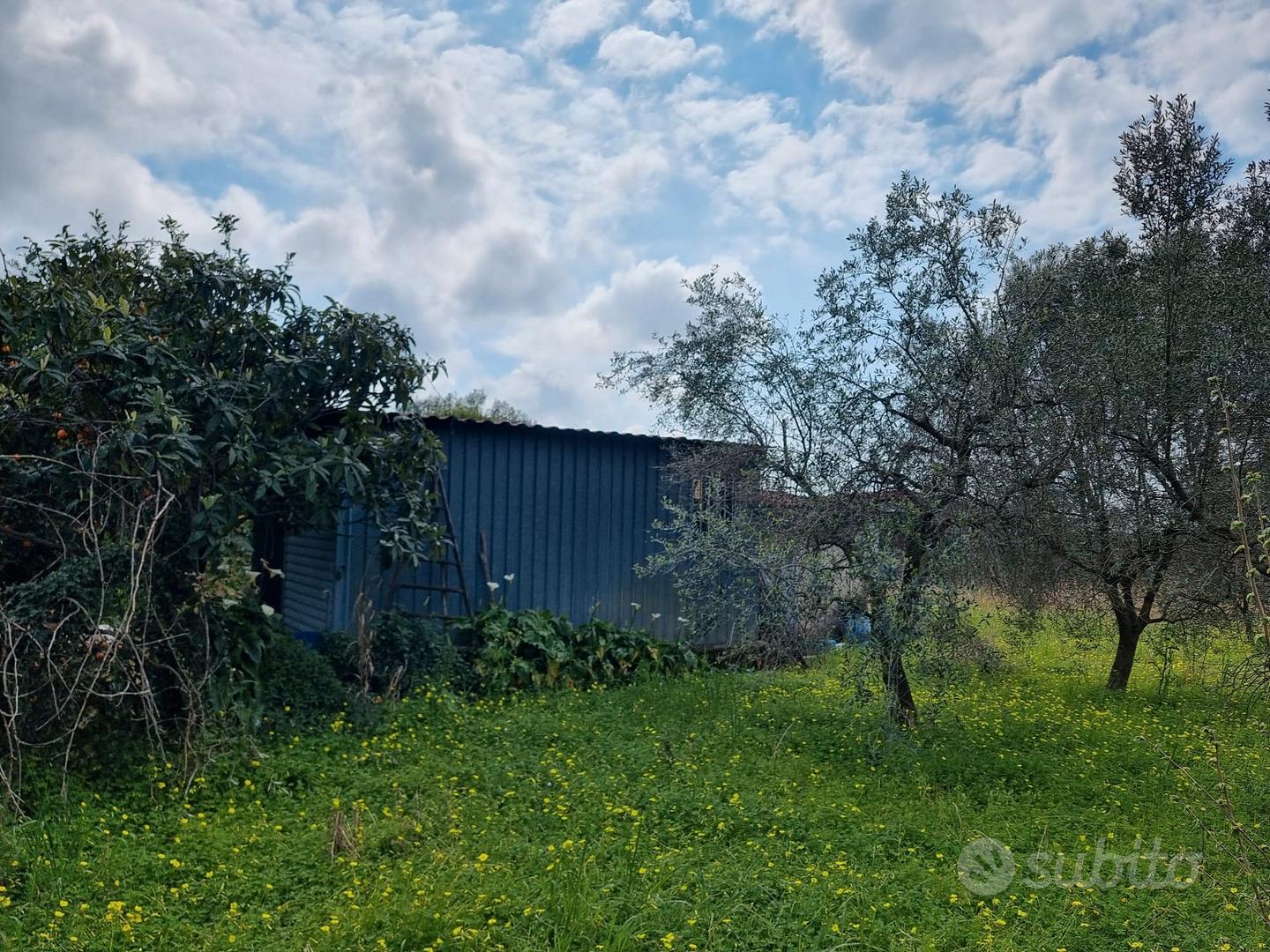 Terreno agricolo con capannone - Vista 5