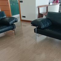 Coppia di divani Diesis B&B Italia