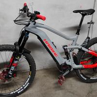 E-BIKE MTB ENDURO HAIBIKE ALL MOUNTAIN 6  Carbonio