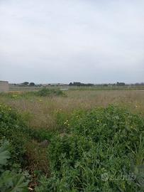 Sestu, lotti edificabili