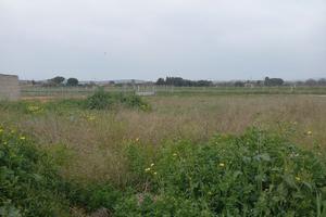 Sestu, lotti edificabili