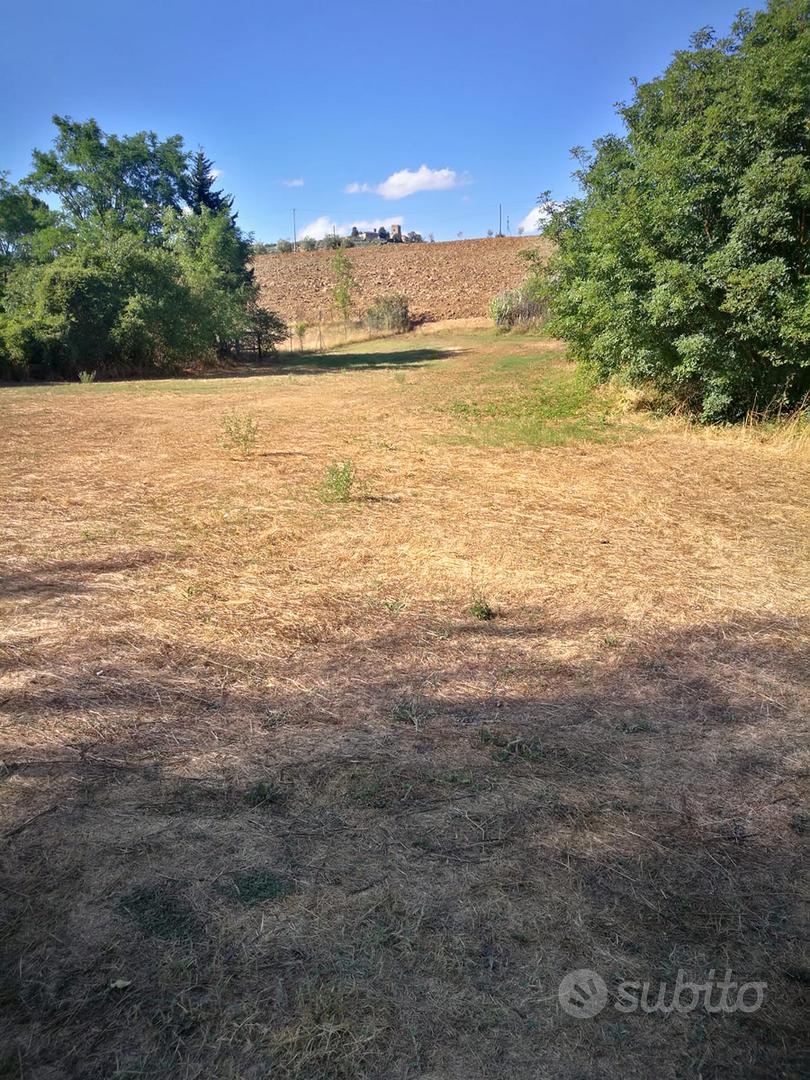 Terreno agricolo Poggibonsi - Vista 5