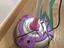 Immagine 3