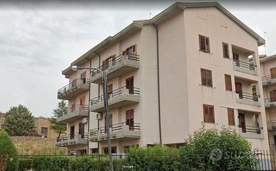 Ampio appartamento con garage