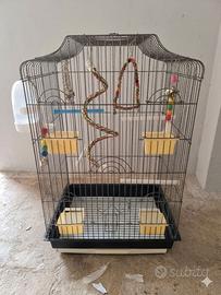 Voliera Gabbia pappagallo uccelli 70 x 43x33