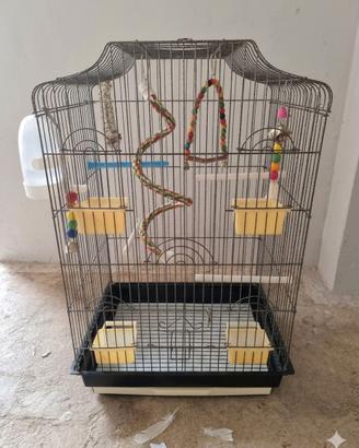 Voliera Gabbia pappagallo uccelli 70 x 43x33