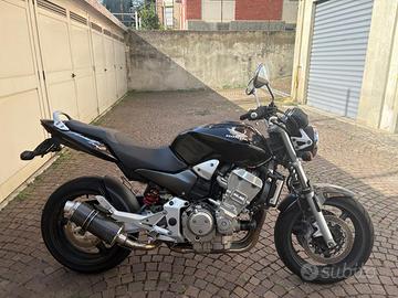 Hornet 900