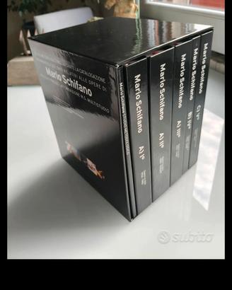 Mario Schifano catalogo ragionato multistudio 