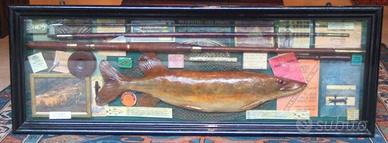 Bacheca con accessori da pesca d’epoca assemblati