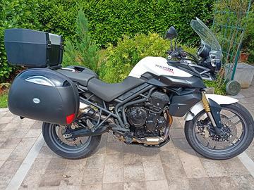 Triumph Tiger 800 - 2013