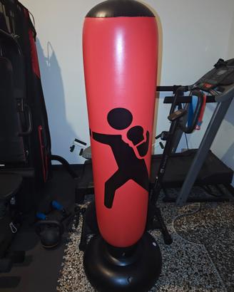 sacco pungiball
