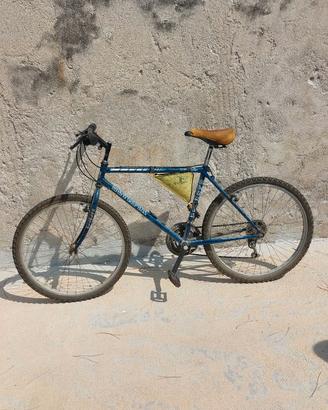 Bicicletta Olympia Carlo Borghi antica
