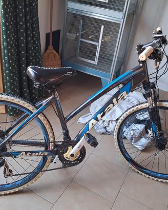 bicicletta Mountain bike atala