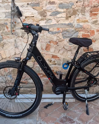 Bici elettrica e-bike Olympia Super Magnum Comfort