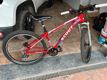 Bicicletta da bambino