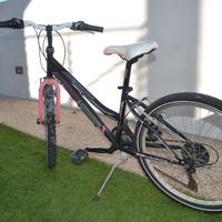 Bicicletta Lombardo " Panare"