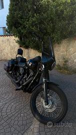 Harley Davidson Dyna Street Bob 103 Club Style