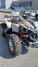 CAN-AM RENEGADE 500