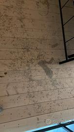 Appartamento Ristrutturato nel Cuore di Ortigia