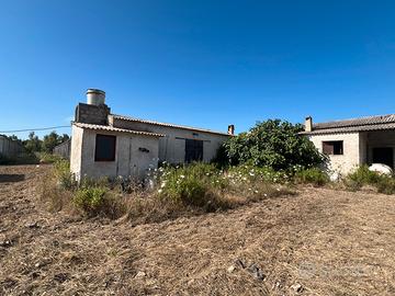 Azienda Agricola mq. 55.mila mq. Circa