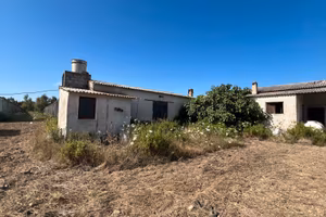 Azienda Agricola mq. 55.mila mq. Circa