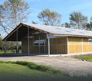 Scuderia di 14 box, completamente nuova