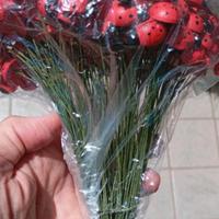 coccinelle di legno con stelo