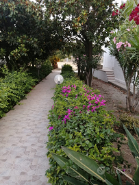 Vacanze in villa ad Oliveri (,Me)