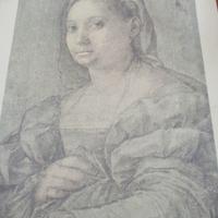 Stampa andrea del sarto
