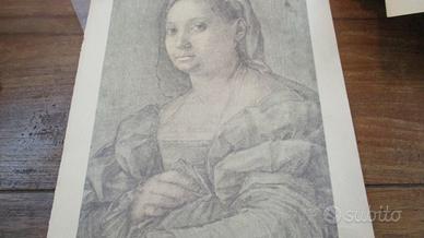 Stampa andrea del sarto