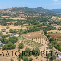 Terreno edificabile - Loiri Porto San Paolo