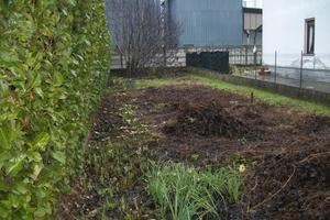 RGE 156/2021 Trib Pavia - LOTTO 2