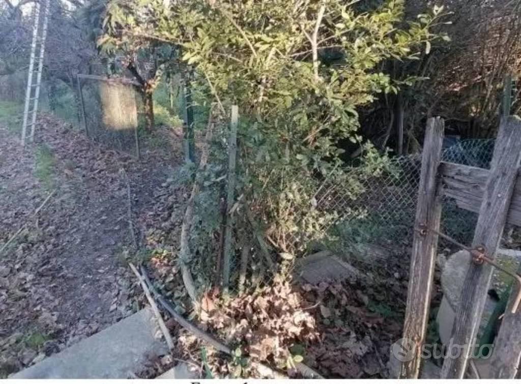 Immobile in asta di 514 m² a Grottazzolina - Vista 4