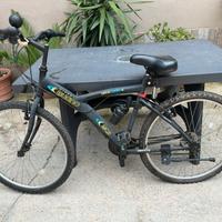 Bicicletta unisex della Gianni Bugno