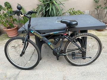 Bicicletta unisex della Gianni Bugno