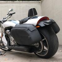 Muscle Harley Davidson vrod v-rod vrscf