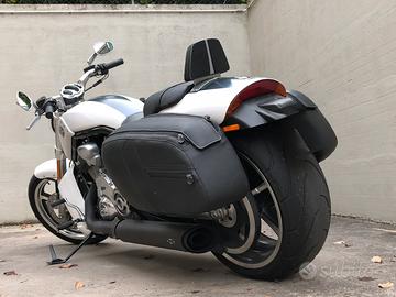 Muscle Harley Davidson vrod v-rod vrscf