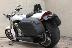 Muscle Harley Davidson vrod v-rod vrscf
