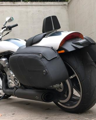 Muscle Harley Davidson vrod v-rod vrscf