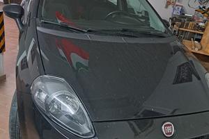 fiat punto natural power