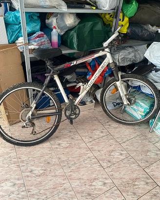 Bici mtb s3
