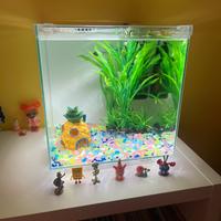 Acquario in vetro 30L