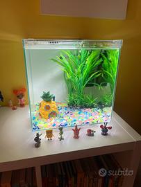 Acquario in vetro 30L