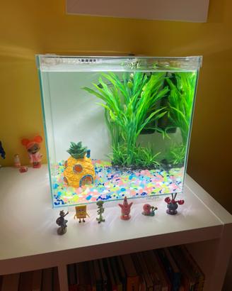 Acquario in vetro 30L