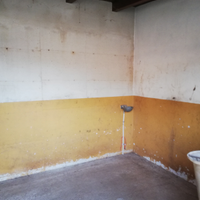 Box e Paddock Cavalli