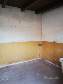 Box e Paddock Cavalli