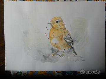 Acquerello dal titolo : Passerotto