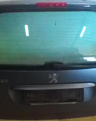 PORTELLONE POSTERIORE COMPLETO PEUGEOT 307 S. Wago