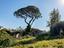 Immagine 15